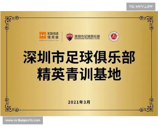 足球俱乐部球员出售管理方案的优化与实施策略探讨 足球俱乐部球员出售管理方案的优化与实施策略探讨